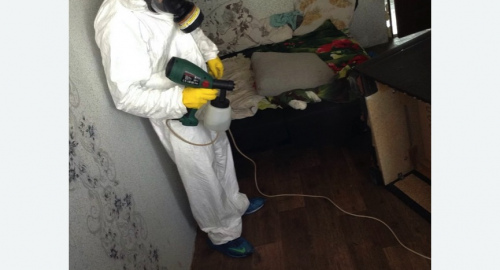 Обработка квартир от насекомых в Северобайкальске