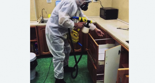 Дезинсекция квартиры. Северобайкальск