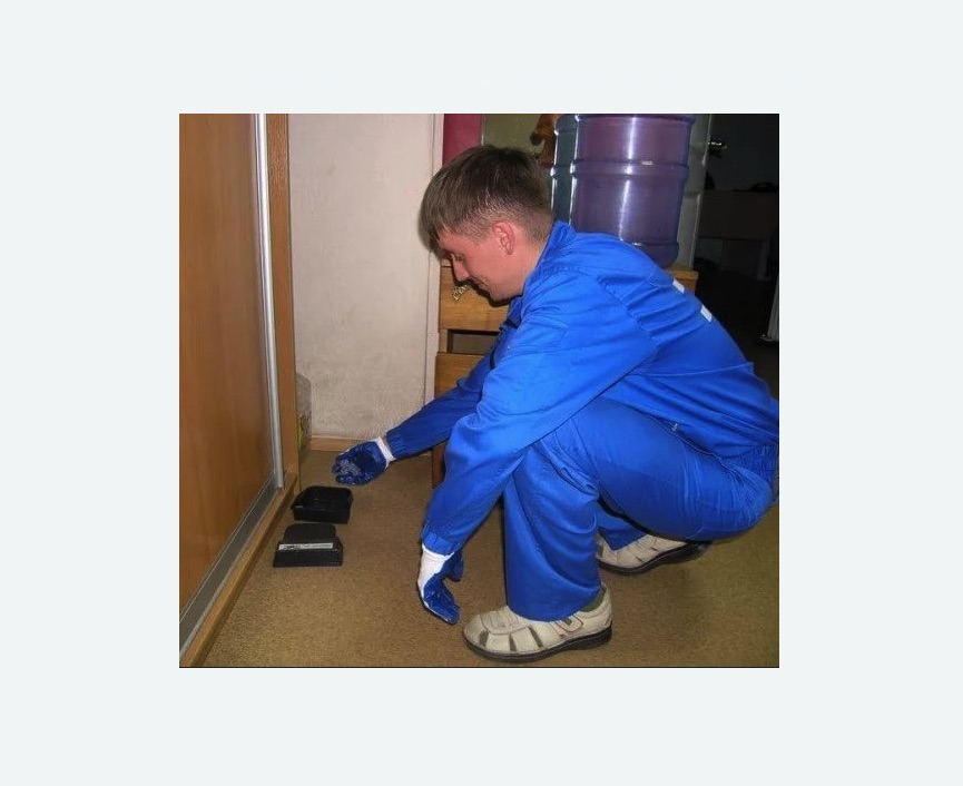 Дератизация крыс в Северобайкальске