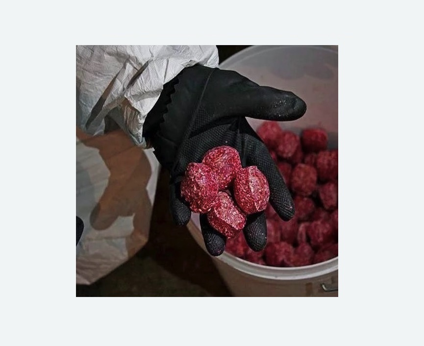 Обработка от крыс в Северобайкальске