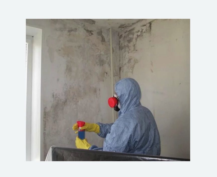 Удаление плесени в квартире в Северобайкальске