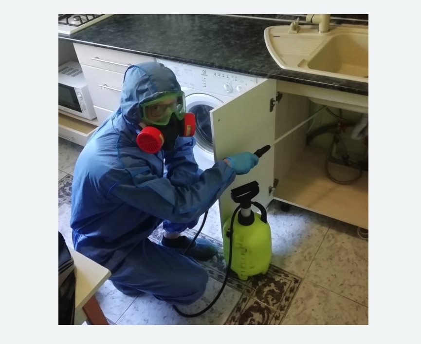 обработка от муравьев в квартире в Северобайкальске