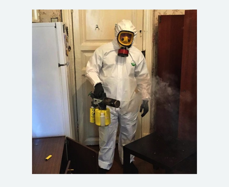 уничтожение муравьев в квартире в Северобайкальске